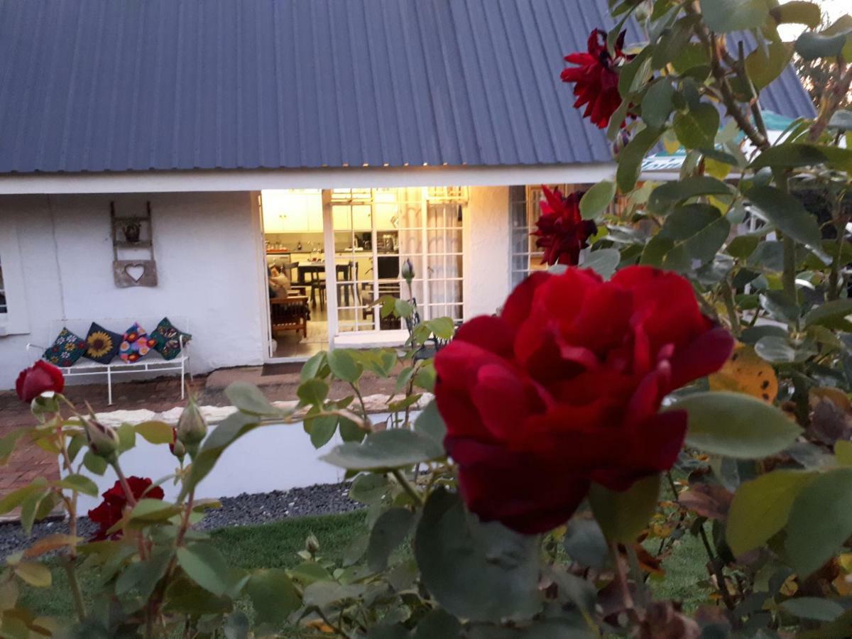 Honeysuckle Clarens Hotel Ngoại thất bức ảnh